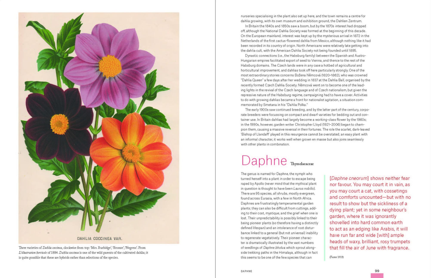 Garden Flora: The Natural and Cultural History of the Plants In Your Garden