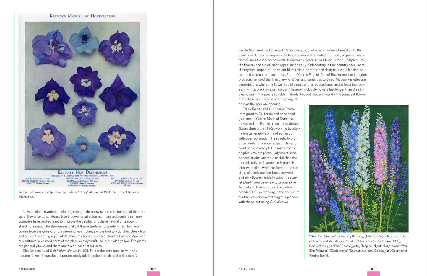 Garden Flora: The Natural and Cultural History of the Plants In Your Garden