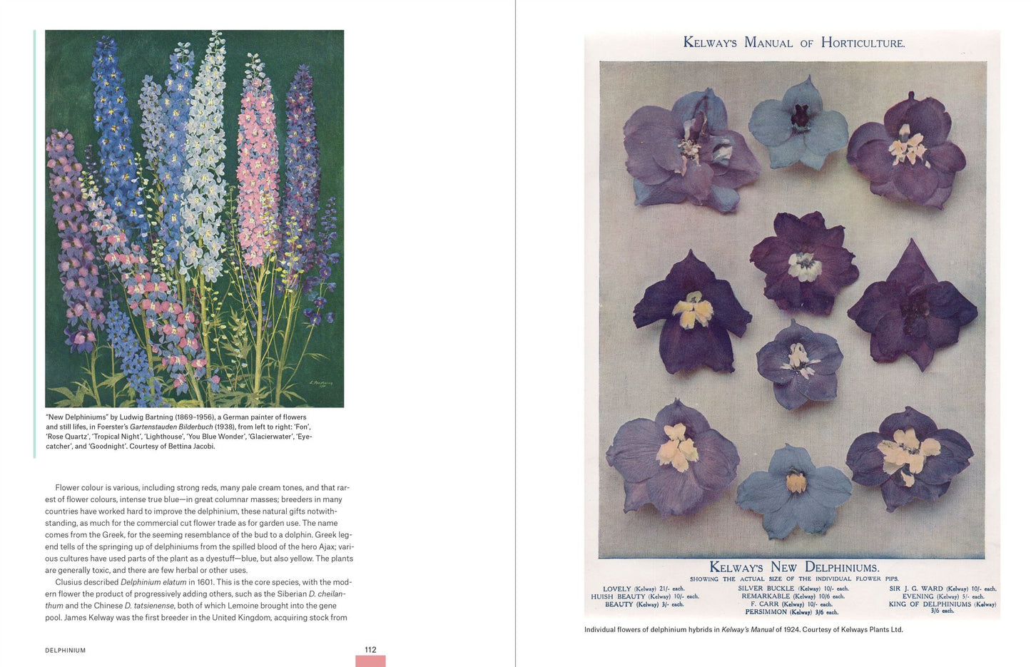 Garden Flora: The Natural and Cultural History of the Plants In Your Garden