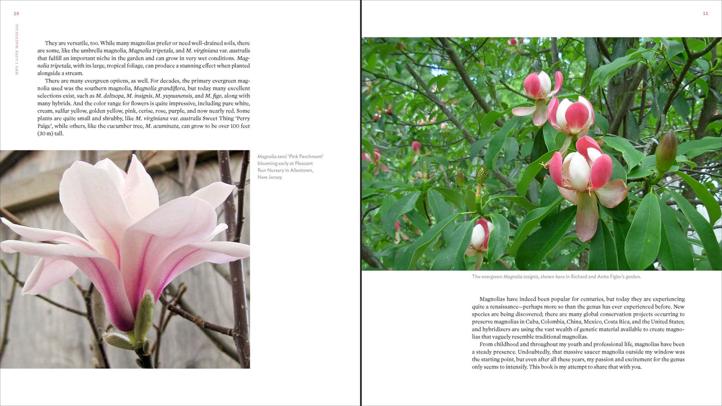 The Plant Lover's Guide to Magnolias