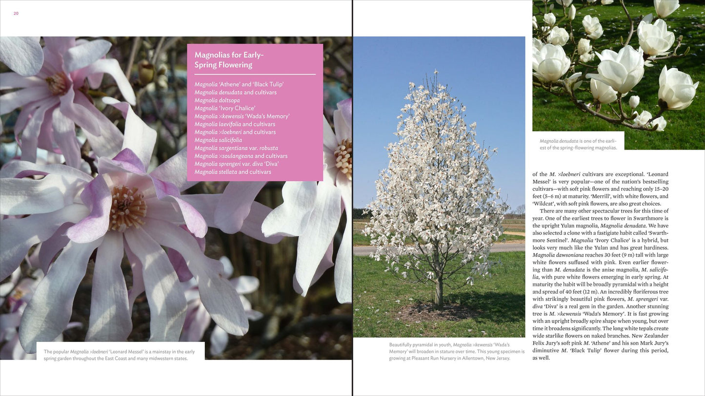 The Plant Lover's Guide to Magnolias