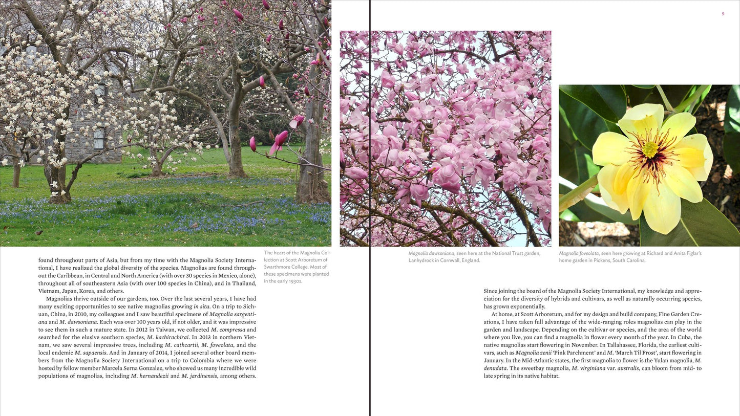 The Plant Lover's Guide to Magnolias