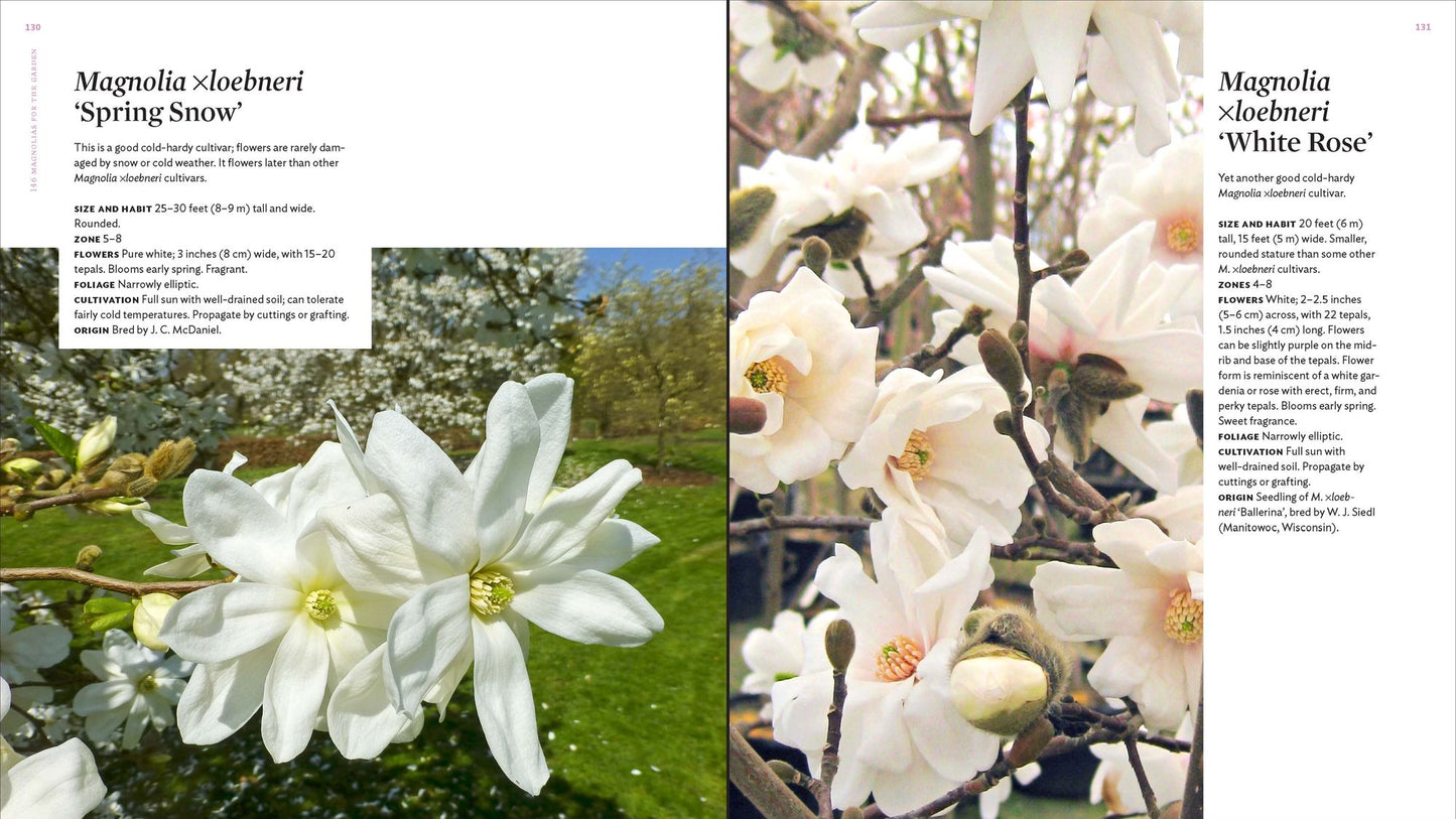 The Plant Lover's Guide to Magnolias