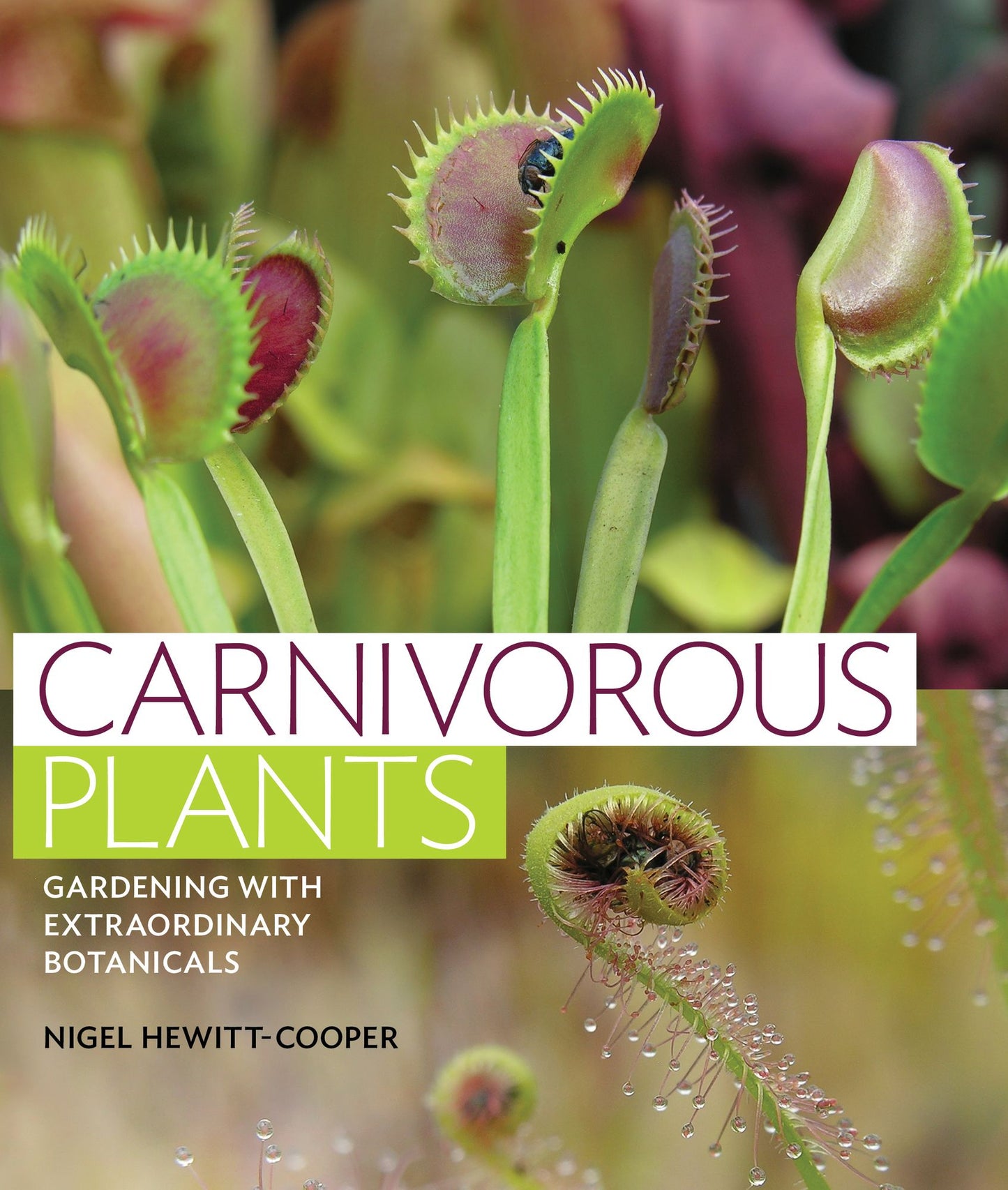 Carnivorous Plants: Gardening with Extraordinary Botanicals