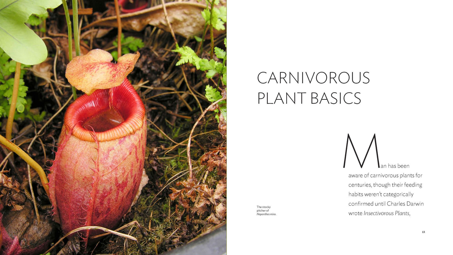 Carnivorous Plants: Gardening with Extraordinary Botanicals