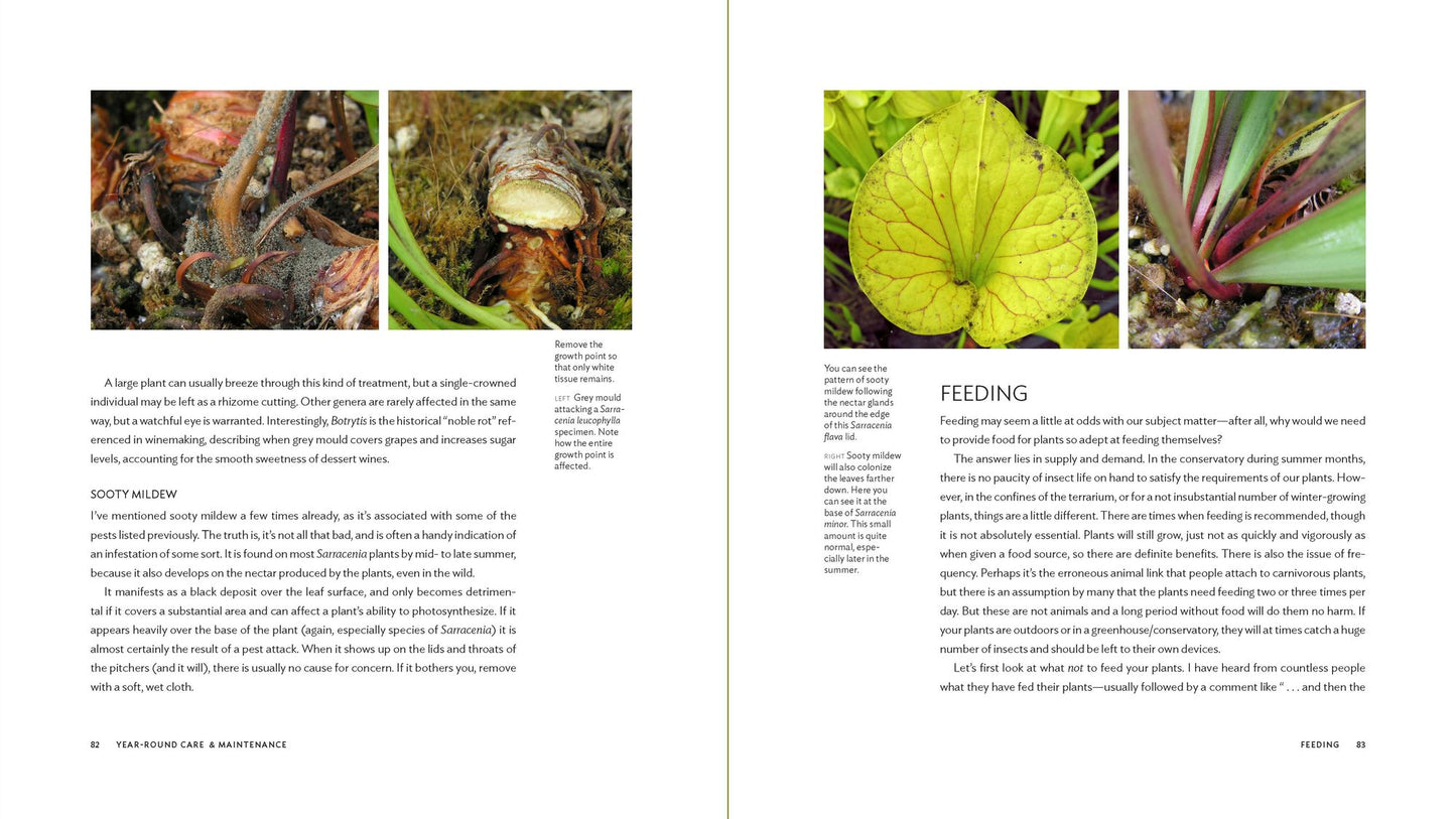 Carnivorous Plants: Gardening with Extraordinary Botanicals