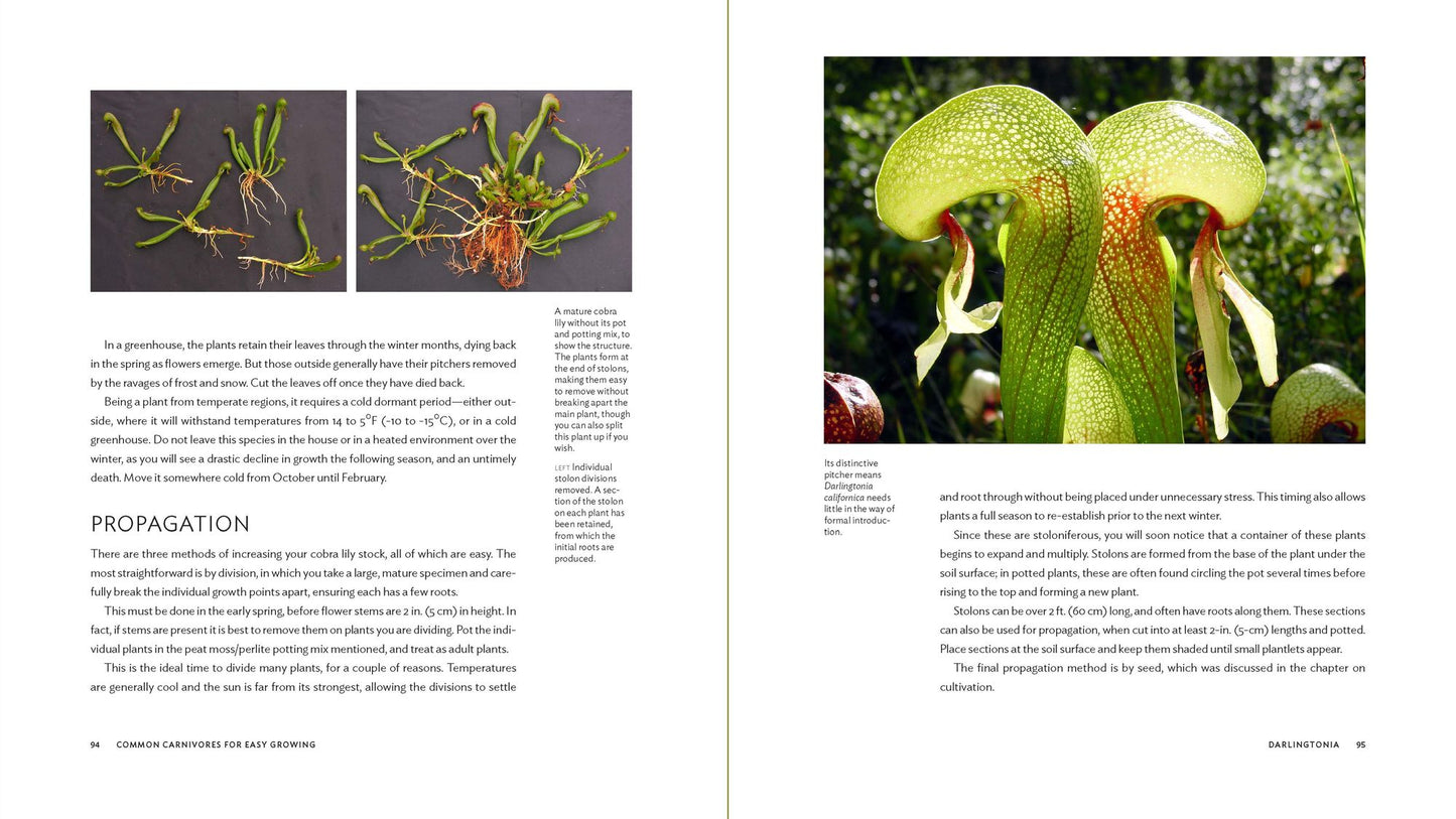 Carnivorous Plants: Gardening with Extraordinary Botanicals
