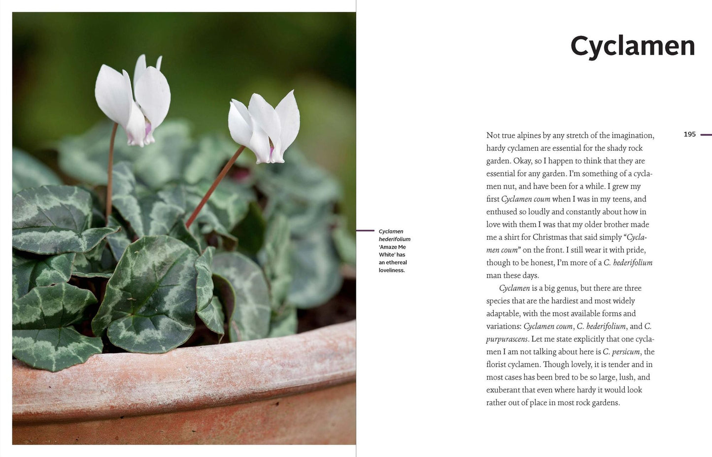 Rock Gardening: Reimagining a Classic Style