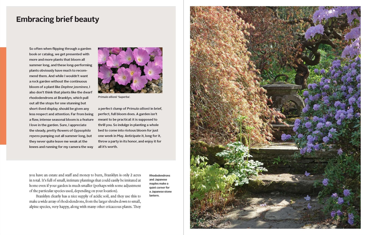 Rock Gardening: Reimagining a Classic Style