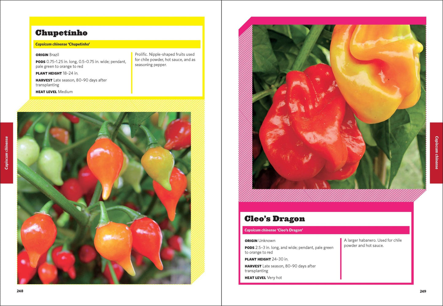 The Field Guide to Peppers