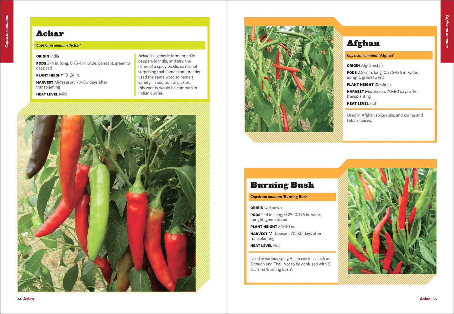 The Field Guide to Peppers
