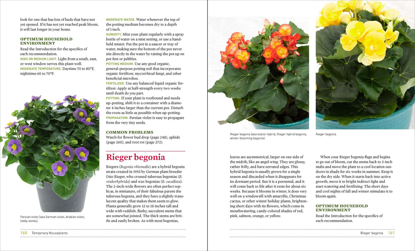 What's Wrong With My Houseplant?: Save Your Indoor Plants With 100% Organic Solutions