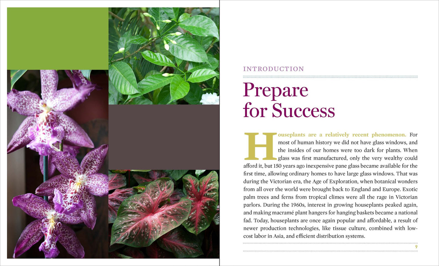 What's Wrong With My Houseplant?: Save Your Indoor Plants With 100% Organic Solutions