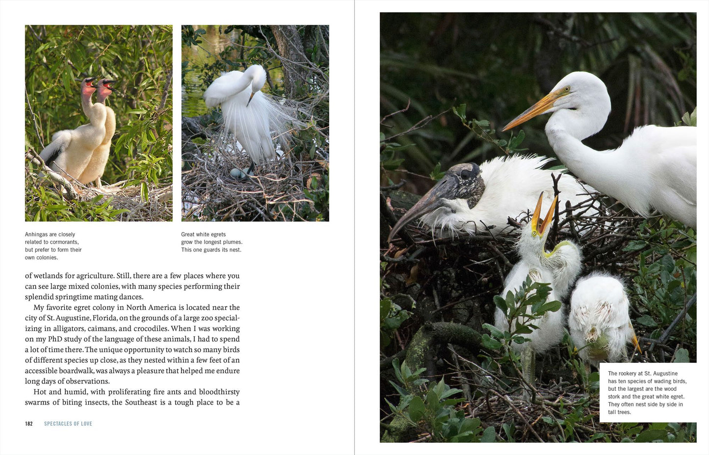 Native Plants of the Midwest: A Comprehensive Guide to the Best 500 Species for the Garden