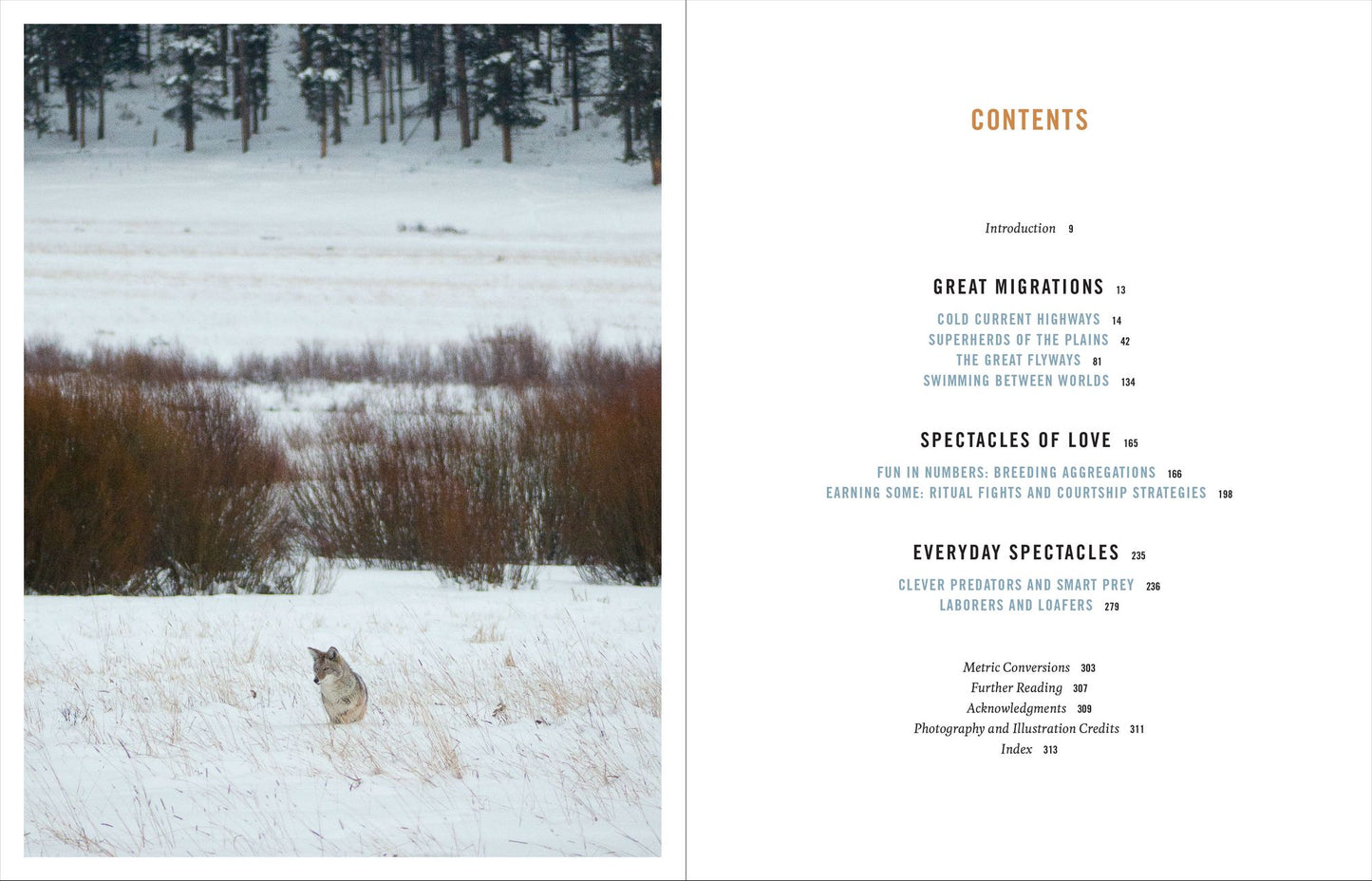 Native Plants of the Midwest: A Comprehensive Guide to the Best 500 Species for the Garden