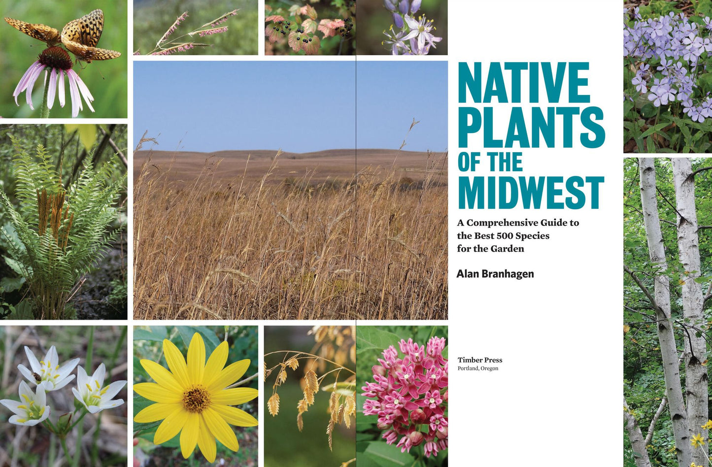 Native Plants of the Midwest: A Comprehensive Guide to the Best 500 Species for the Garden
