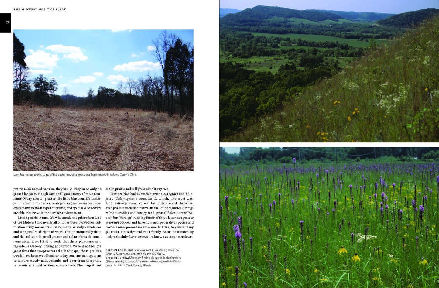 Native Plants of the Midwest: A Comprehensive Guide to the Best 500 Species for the Garden