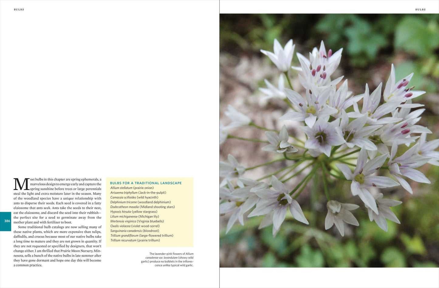 Native Plants of the Midwest: A Comprehensive Guide to the Best 500 Species for the Garden