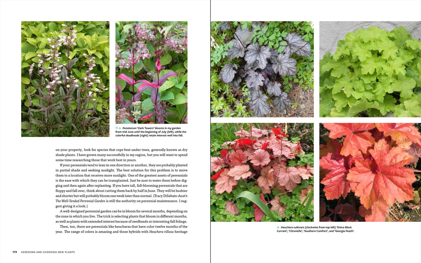 Garden Renovation: Transform Your Yard Into the Garden of Your Dreams