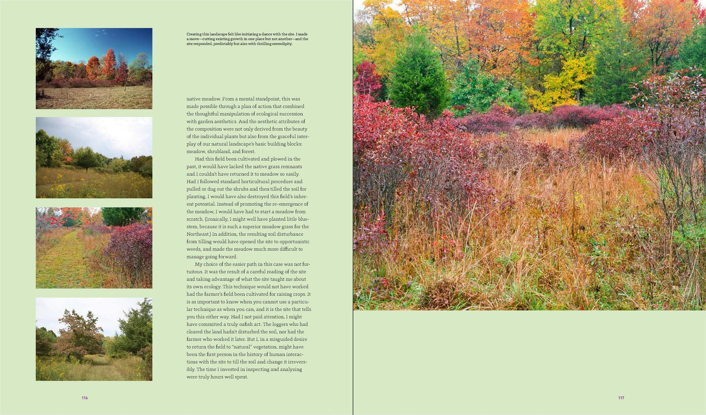 Garden Revolution: How Our Landscapes Can Be a Source of Environmental Change