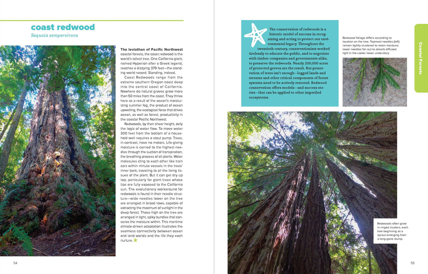 The Northwest Coastal Explorer: Your Guide to the Places, Plants, and Animals of the Pacific Coast