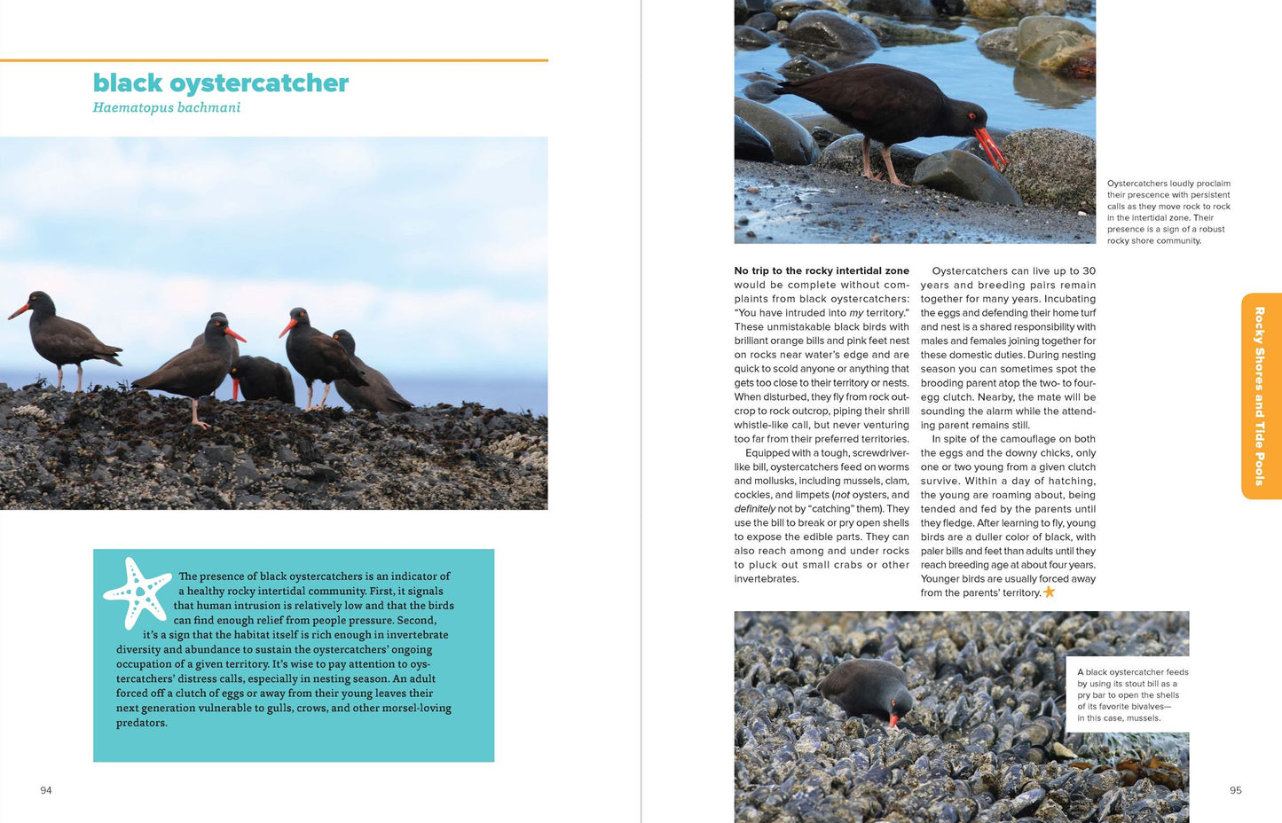 The Northwest Coastal Explorer: Your Guide to the Places, Plants, and Animals of the Pacific Coast