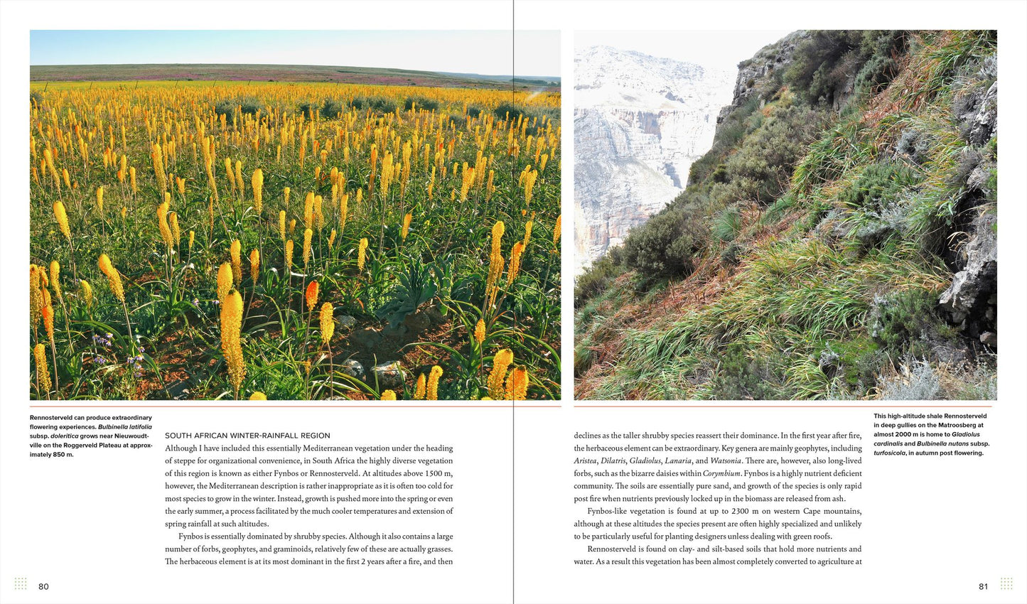 Sowing Beauty: Designing Flowering Meadows from Seed