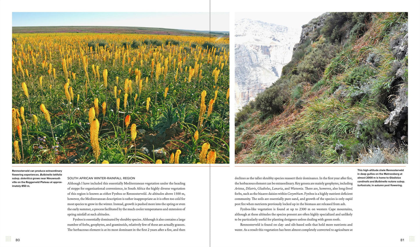 Sowing Beauty: Designing Flowering Meadows from Seed