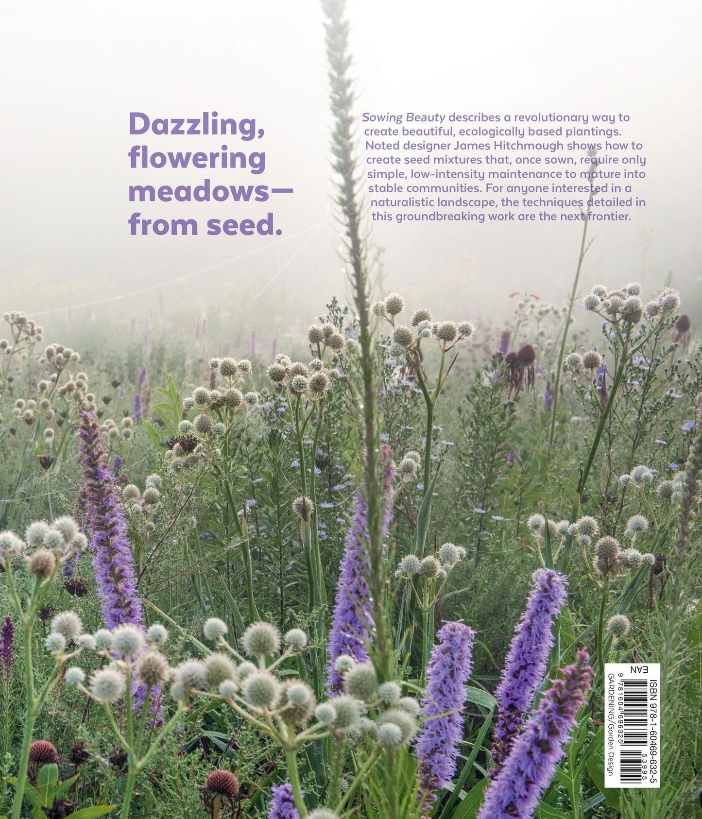 Sowing Beauty: Designing Flowering Meadows from Seed
