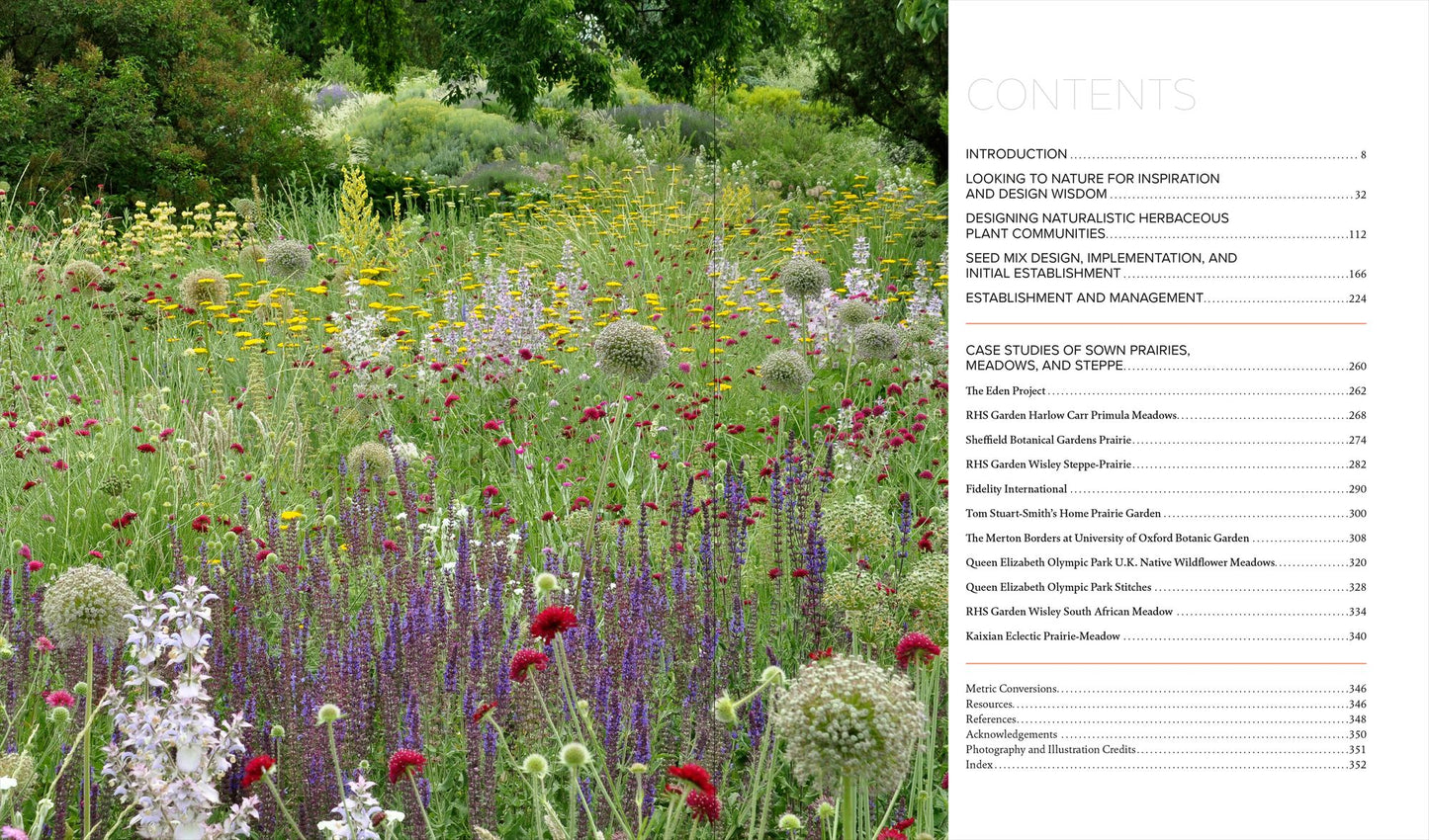 Sowing Beauty: Designing Flowering Meadows from Seed