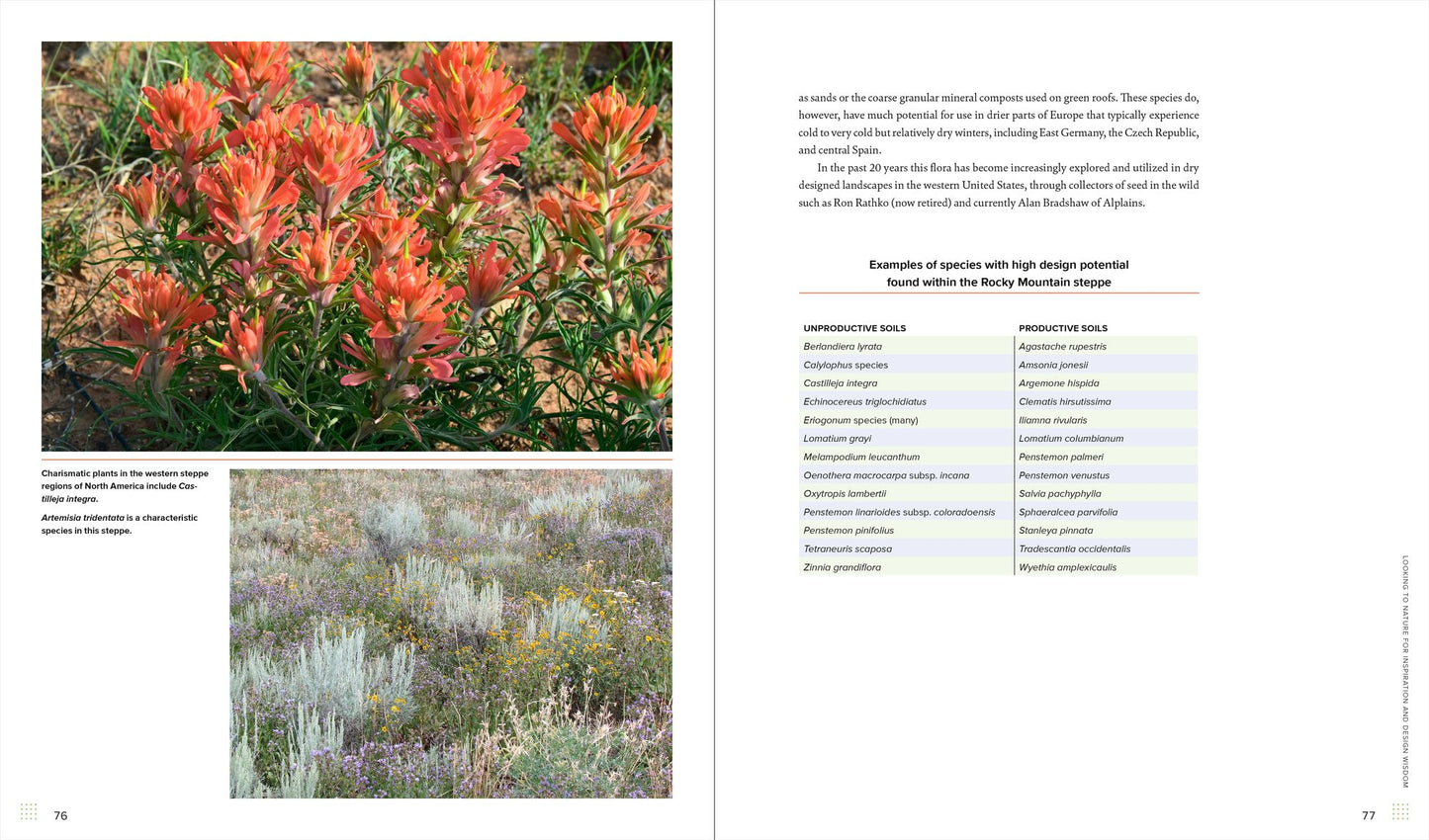 Sowing Beauty: Designing Flowering Meadows from Seed