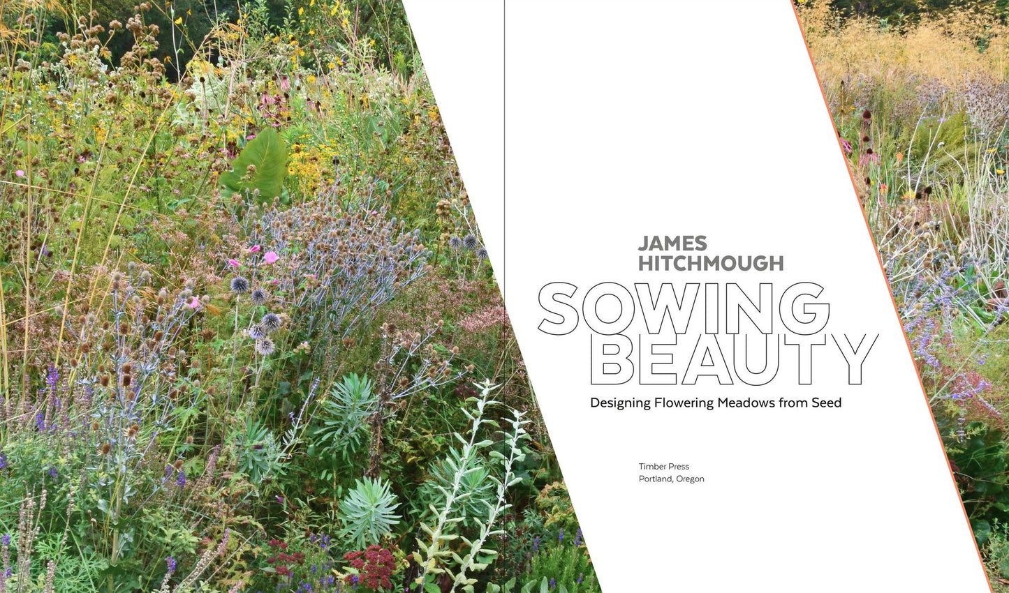 Sowing Beauty: Designing Flowering Meadows from Seed