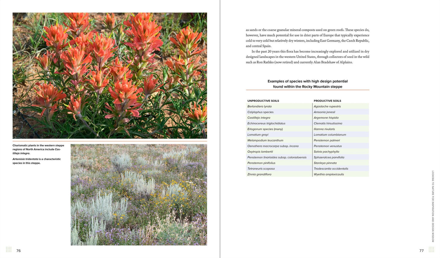 Sowing Beauty: Designing Flowering Meadows from Seed