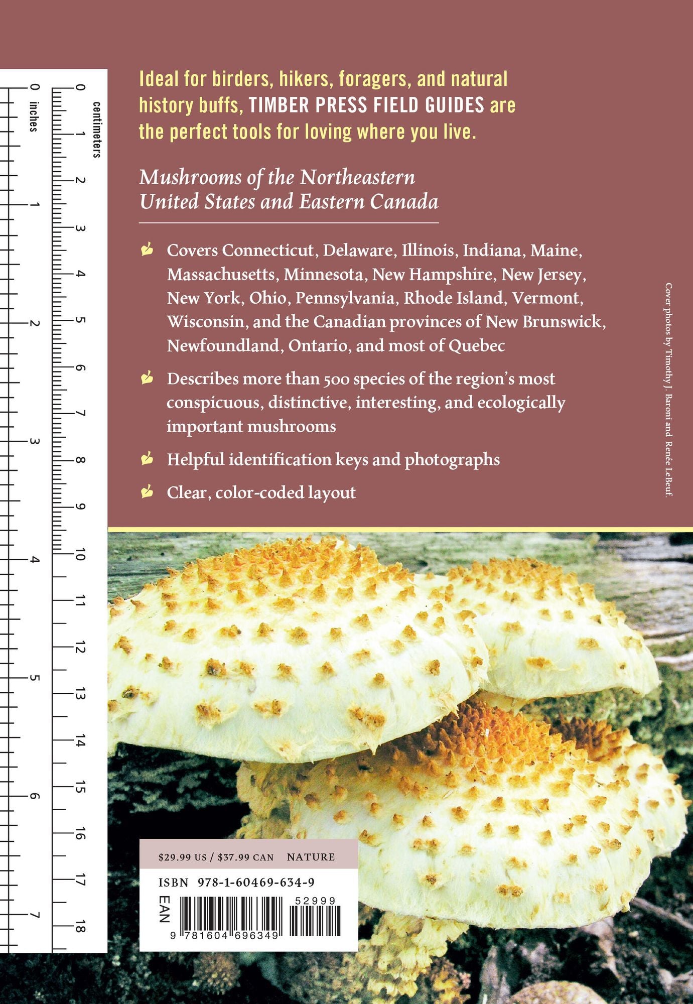 Mushrooms of the Northeastern United States and Eastern Canada
