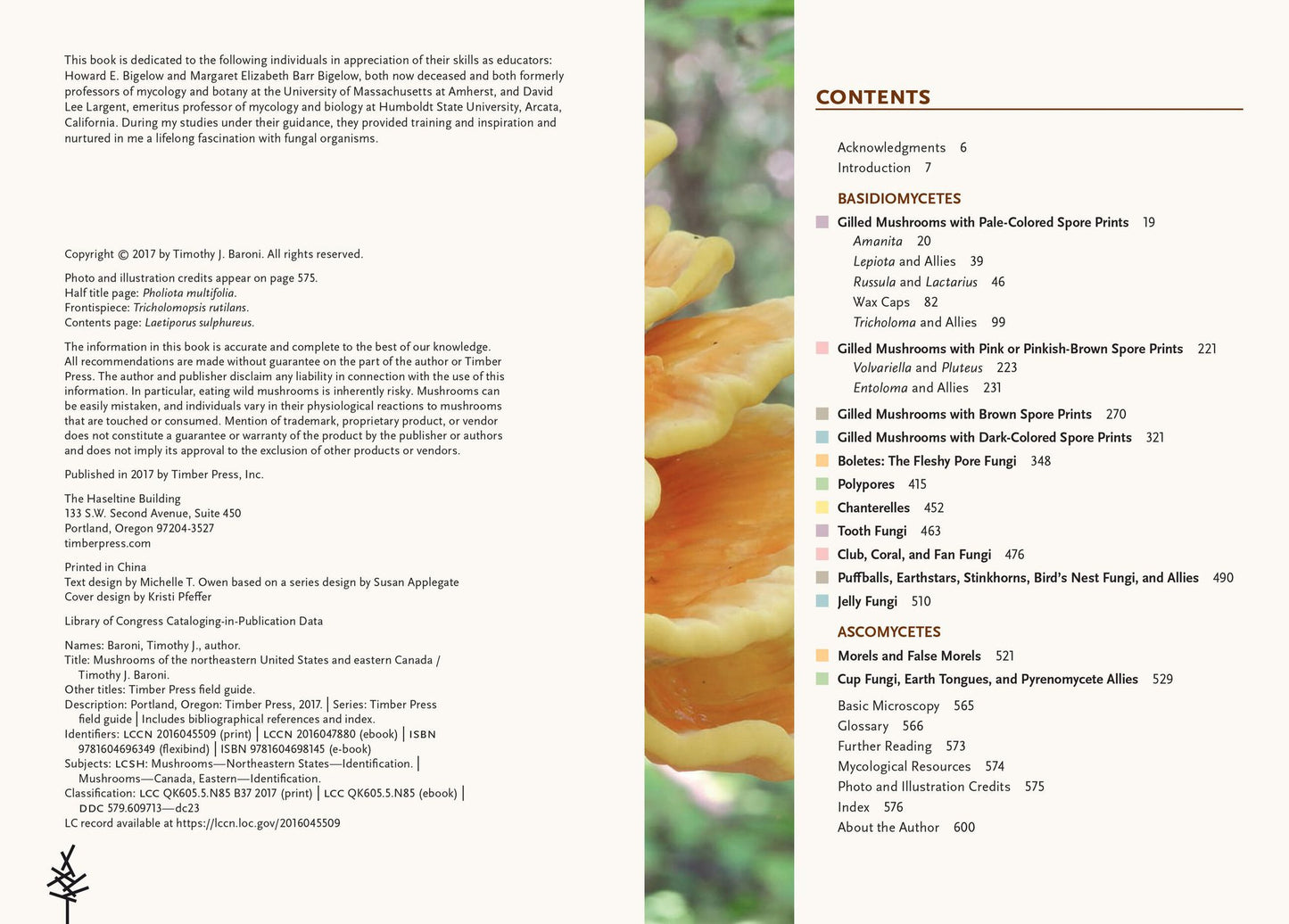 Mushrooms of the Northeastern United States and Eastern Canada