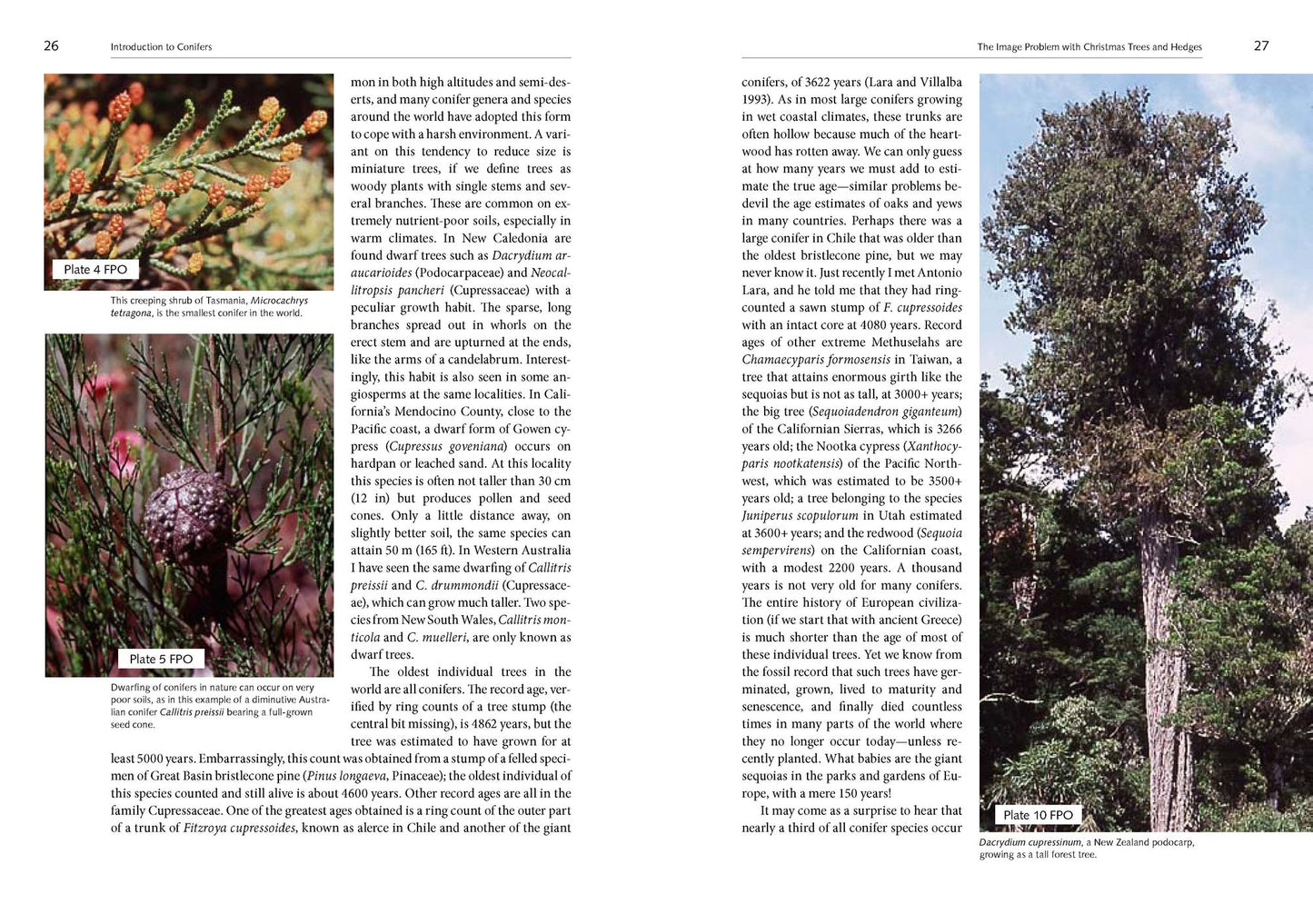 Natural History of the Pacific Northwest Mountains