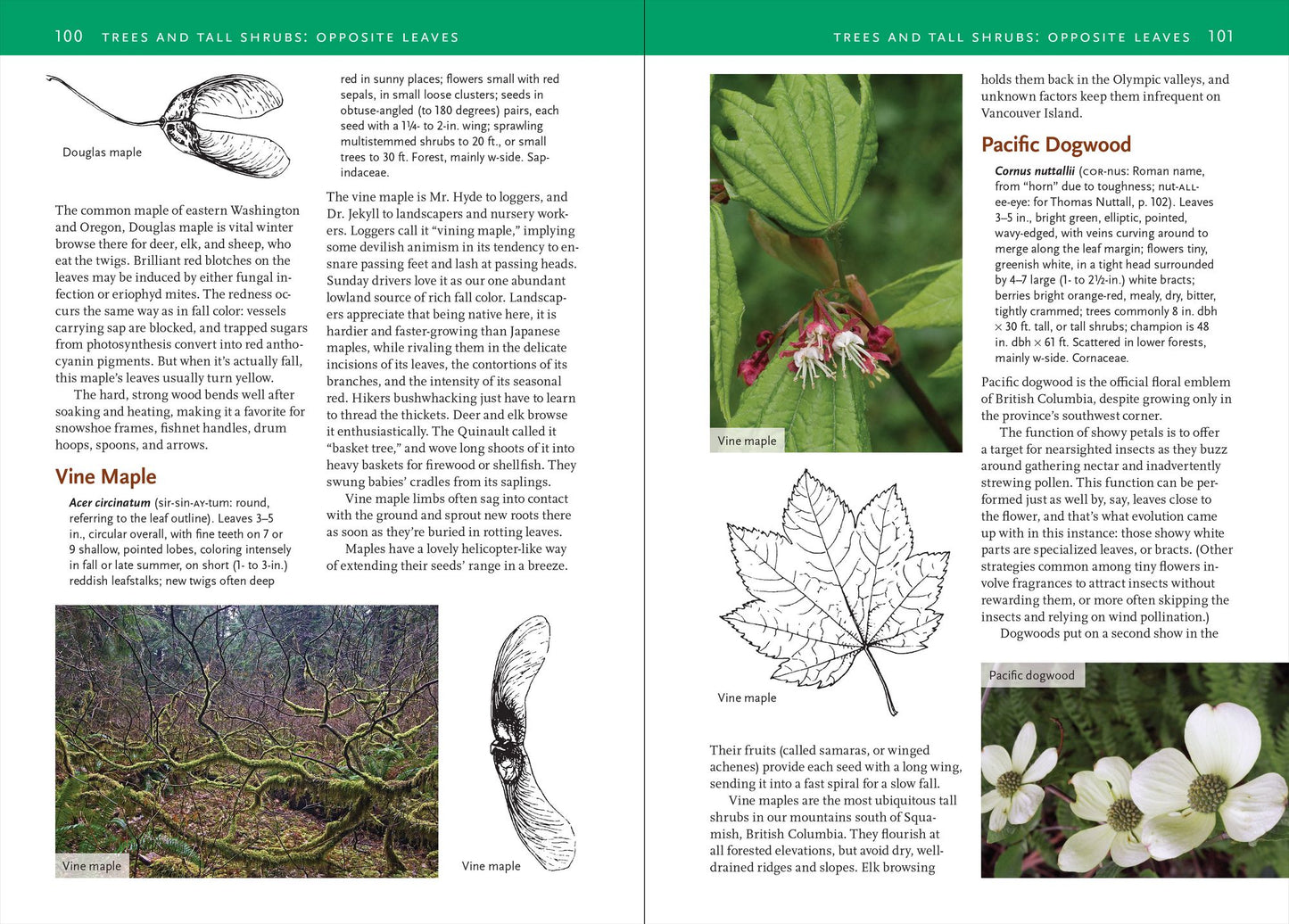 Natural History of the Pacific Northwest Mountains