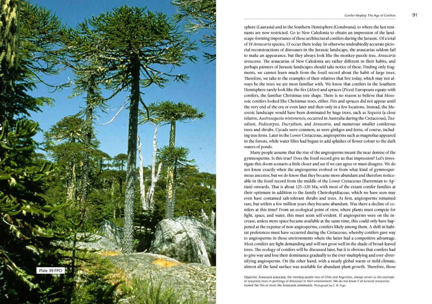 Natural History of the Pacific Northwest Mountains