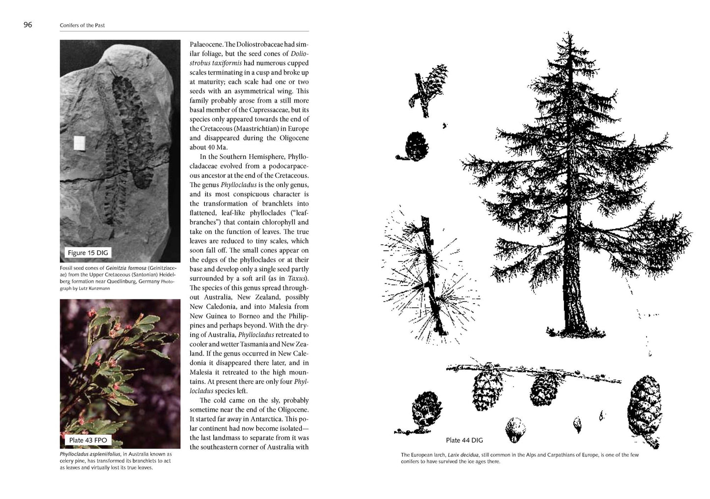 Natural History of the Pacific Northwest Mountains