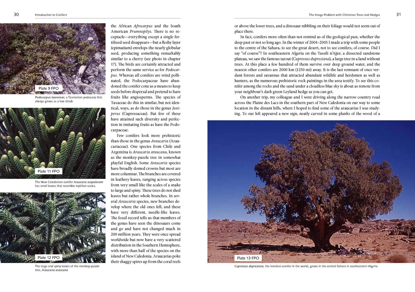 Natural History of the Pacific Northwest Mountains