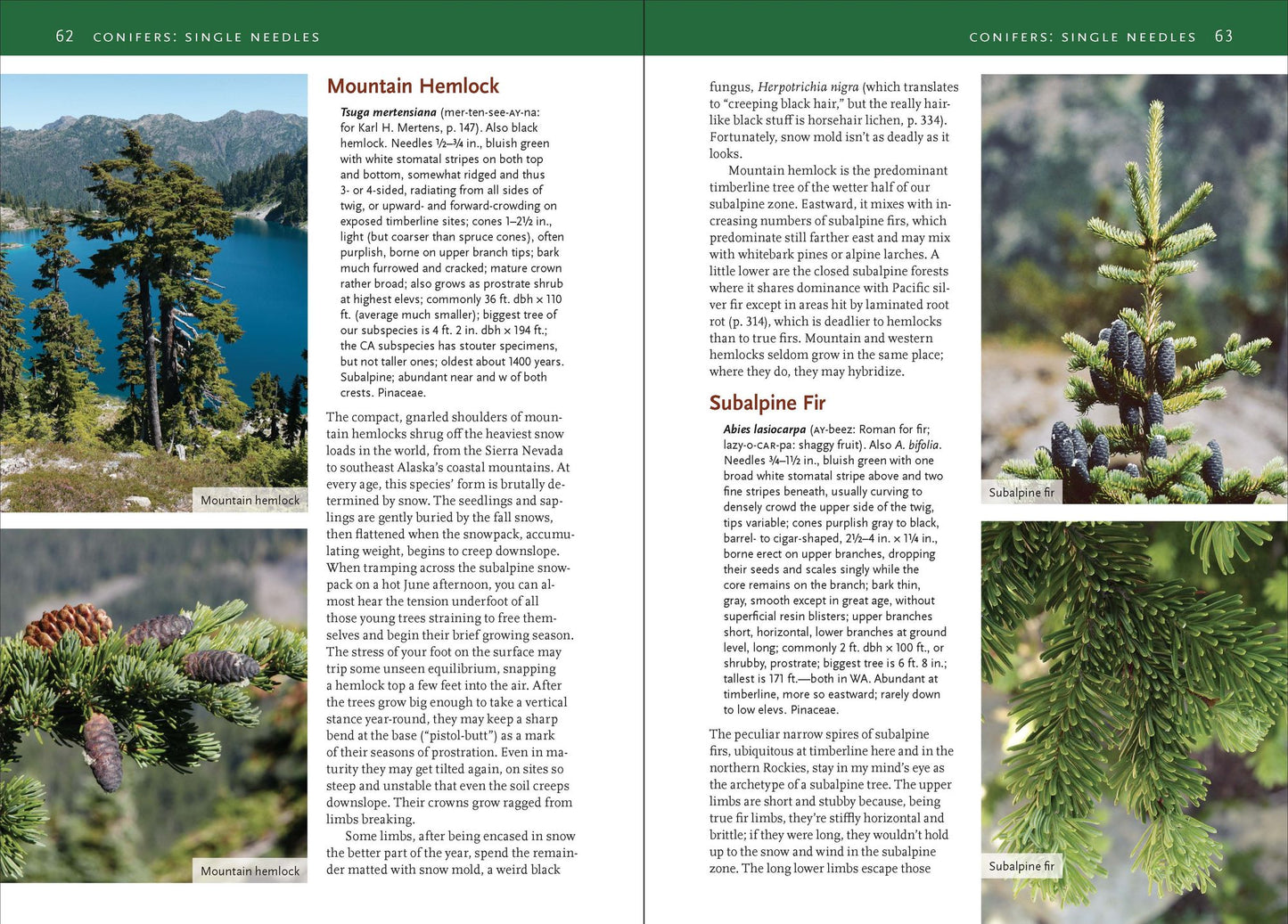 Natural History of the Pacific Northwest Mountains