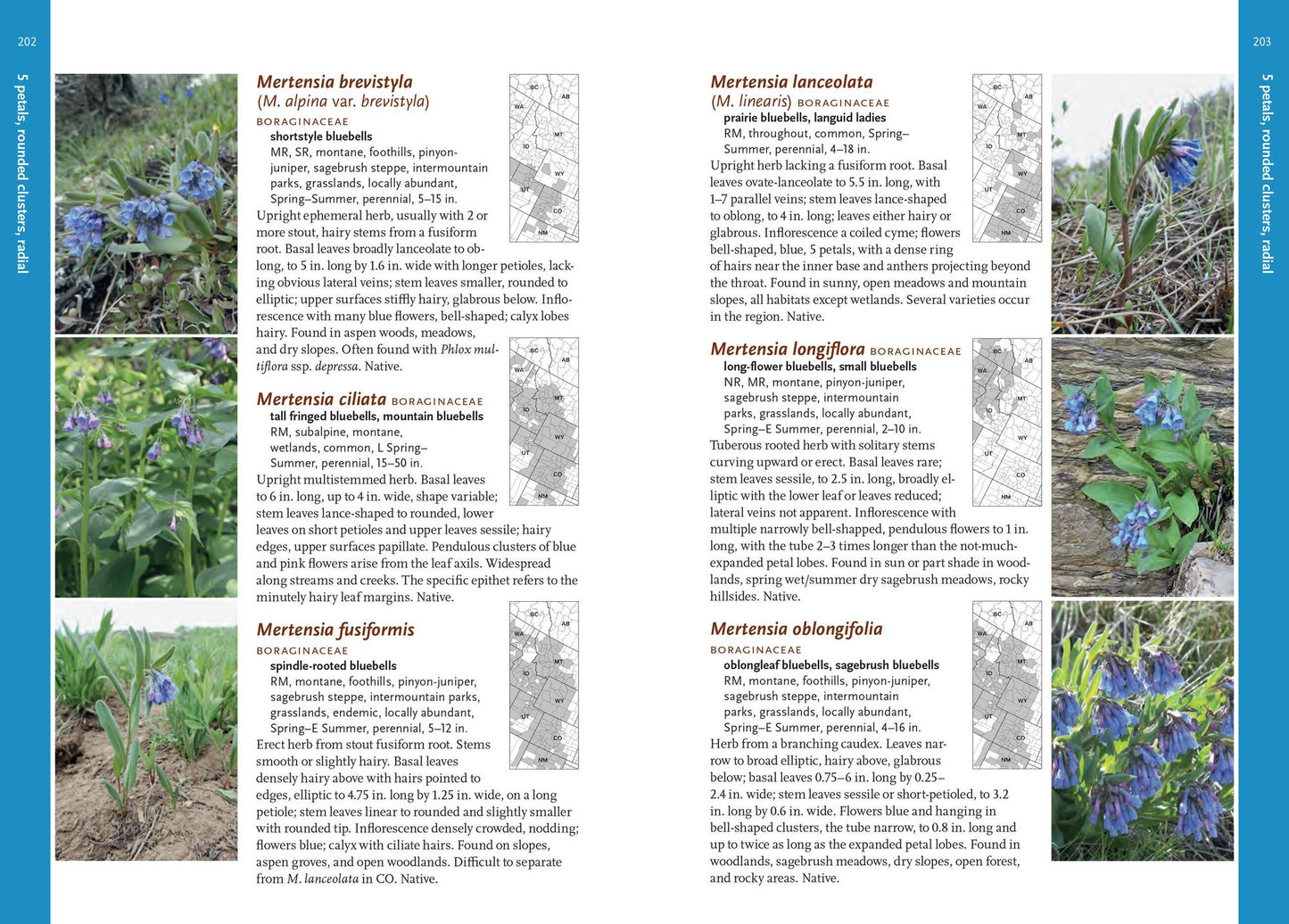 Wildflowers of the Rocky Mountain Region