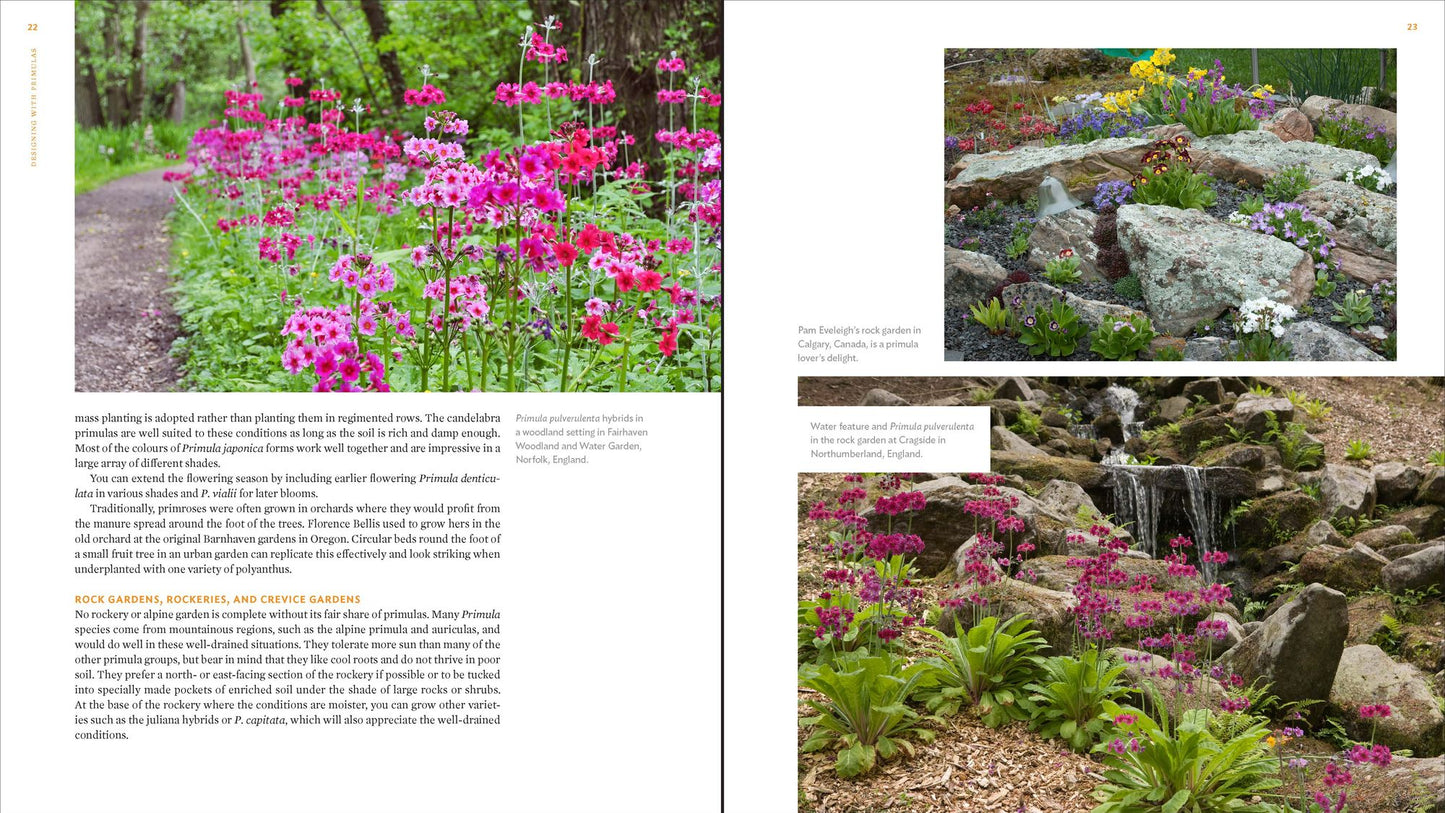The Plant Lover's Guide to Primulas