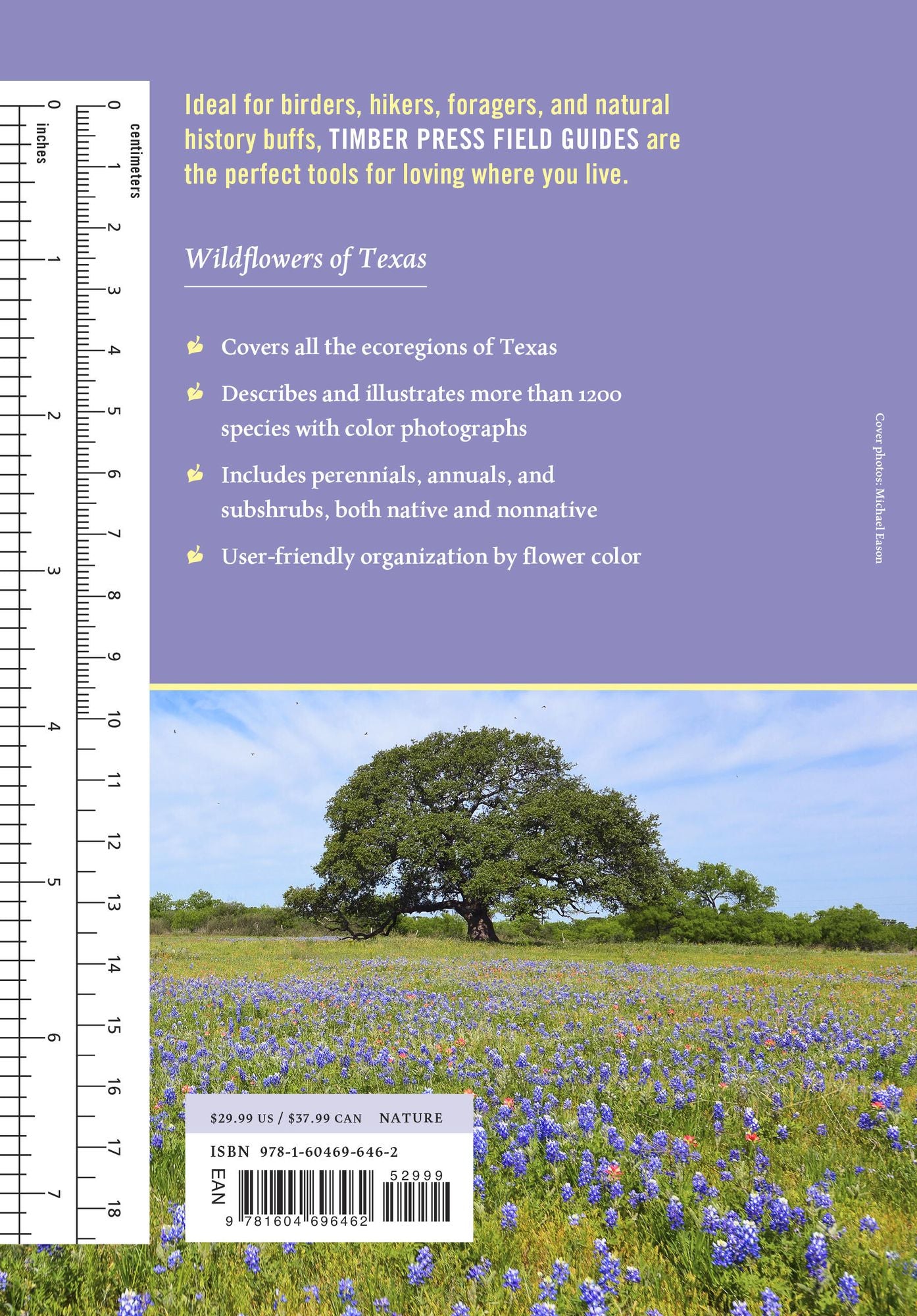 Wildflowers of Texas