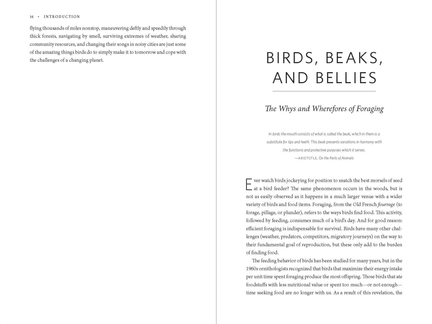 Beaks, Bones and Bird Songs: How the Struggle for Survival Has Shaped Birds and Their Behavior