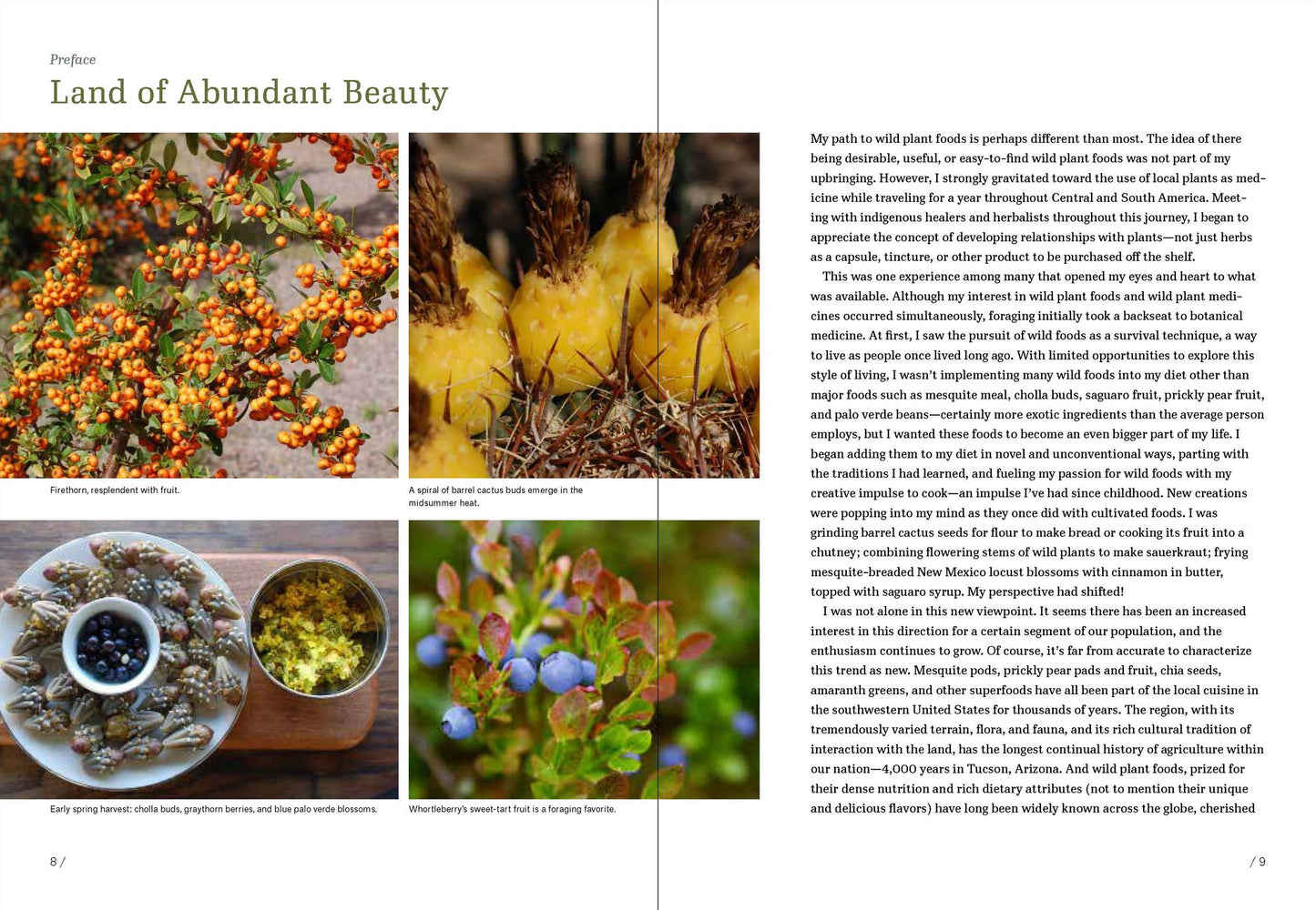 Southwest Foraging: 117 Wild and Flavorful Edibles from Barrel Cactus to Wild Oregano