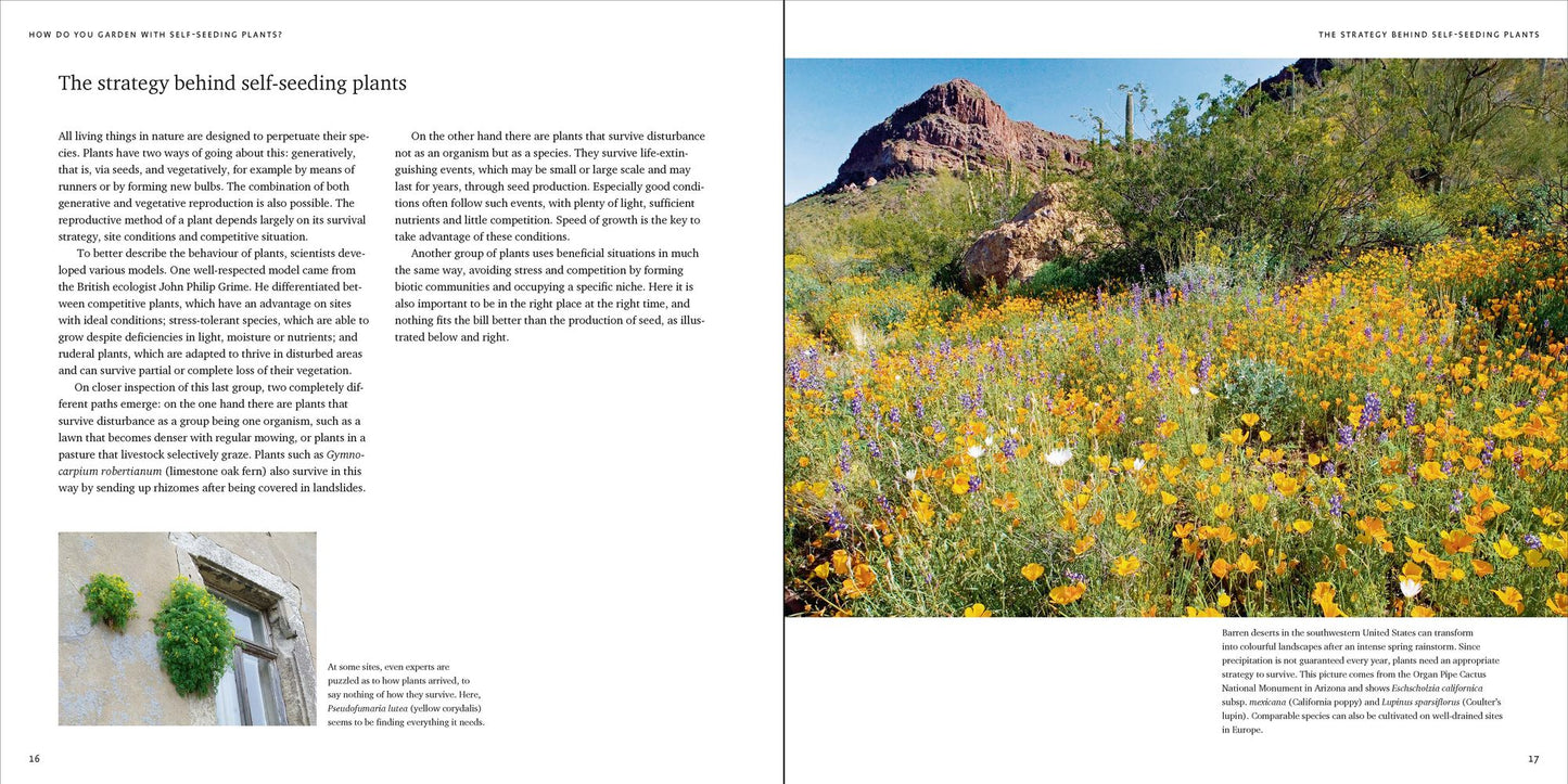 Cultivating Chaos: How to Enrich Landscapes with Self-Seeding Plants