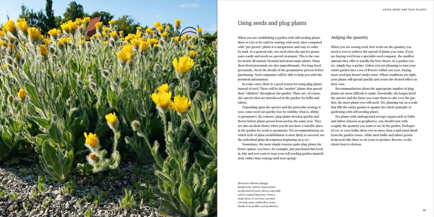 Cultivating Chaos: How to Enrich Landscapes with Self-Seeding Plants