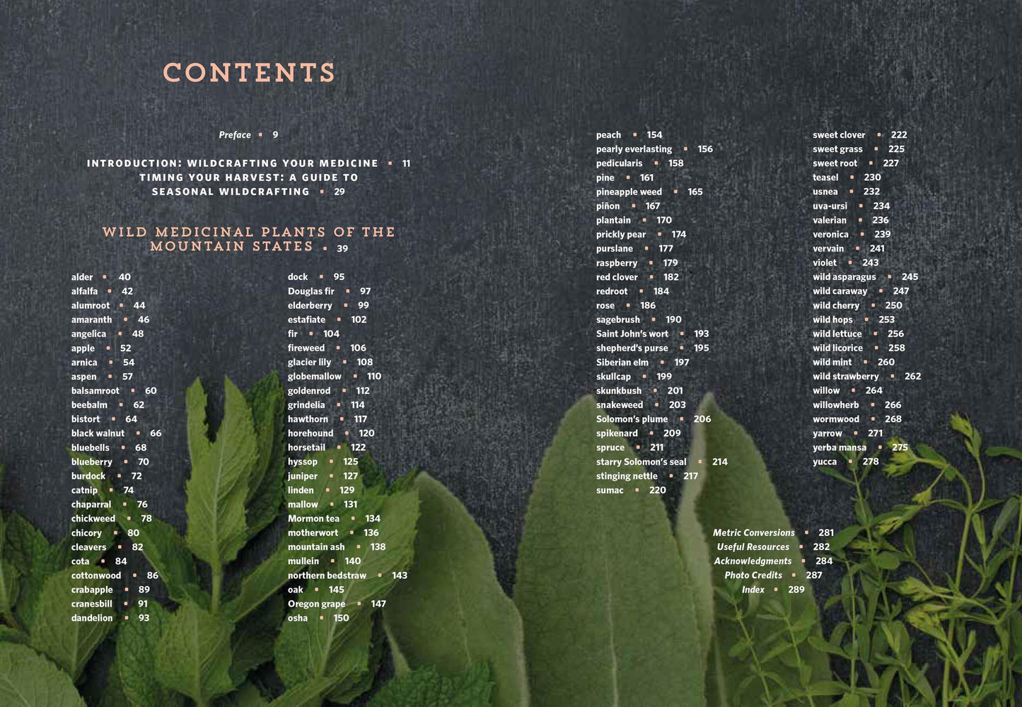 Mountain States Medicinal Plants: Identify, Harvest, and Use 100 Wild Herbs for Health and Wellness