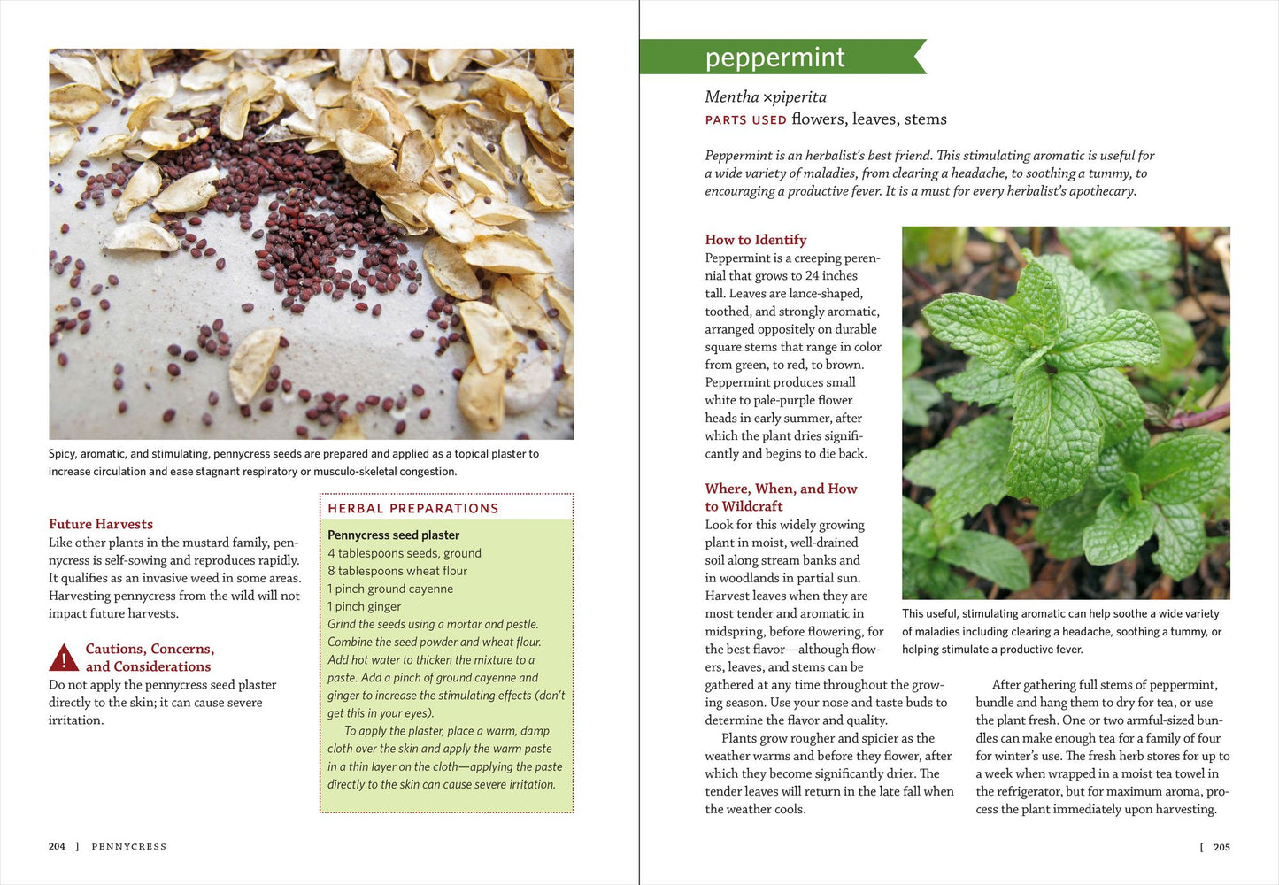 Midwest Medicinal Plants: Identify, Harvest, and Use 109 Wild Herbs for Health and Wellness